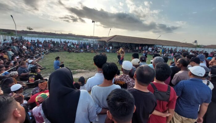 Gema Budaya Sasak: Roadshow Peresean 2024 Hadir di Lombok Barat