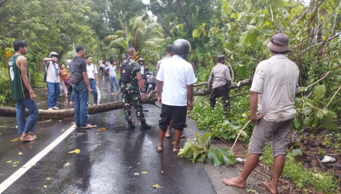 Pohon Tumbang dan Cuaca Ekstrem, Polsek Gerung Tanggap Hadapi Bahaya!