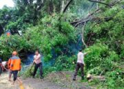 Puting Beliung Landa Batulayar Lombok Barat, 16 Rumah Rusak