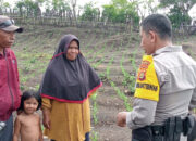 Kegiatan Bhabinkamtibmas Desa Doropeti Polsek Pekat AIPDA Firdaus dalam Pemantauan Program Ketahanan Pangan Nasional