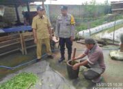 Pestisida Alami, Solusi Hemat dan Sehat untuk Petani Kediri