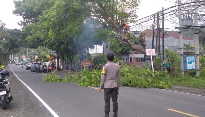 Sinergi Cegah Petaka: Polisi dan Warga Batulayar Amankan Jalan Senggigi