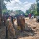 Respon Cepat! Pj Bupati Lombok Barat Tinjau Langsung Lokasi Banjir Sekotong