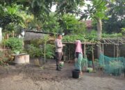 Inspiratif! Bhabinkamtibmas Labuapi Ajak Warga Maksimalkan Lahan Pertanian