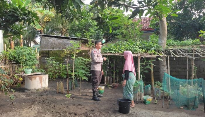 Bhabinkamtibmas Kuranji Dalang Aktif Dukung Ketahanan Pangan