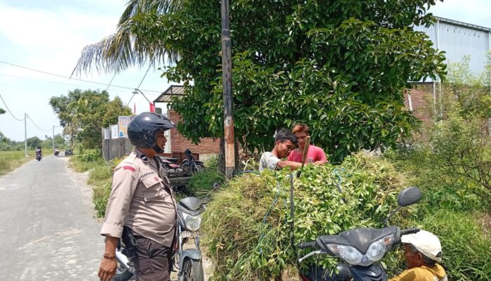 Bhabinkamtibmas Dukung Ketahanan Pangan, Warga Merembu Antusias!