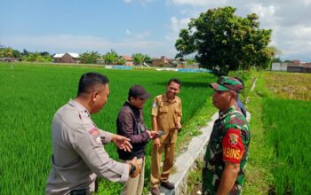 Karang Bongkot Punya Potensi! Lahan Kosong Siap Digarap Petani