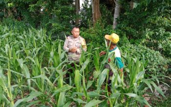 Inspiratif! Bhabinkamtibmas Lombok Barat Ajak Petani Wujudkan Swasembada Pangan