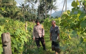 Mantap! Bhabinkamtibmas Batulayar Dampingi Warga Wujudkan Ketahanan Pangan Desa