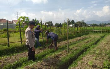 Inspiratif! Bhabinkamtibmas Ajak Warga Lombok Barat Manfaatkan Lahan untuk Ketahanan Pangan