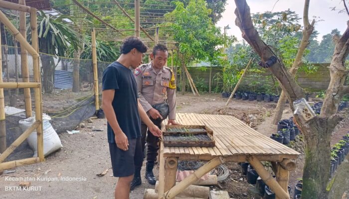 Polsek Kuripan Edukasi Ketahanan Pangan ke Pemuda Peduli Lingkungan