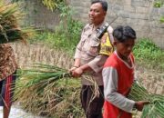 Bhabinkamtibmas Merembu Edukasi Warga Soal Ketahanan Pangan