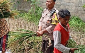 Bhabinkamtibmas Merembu Edukasi Warga Soal Ketahanan Pangan