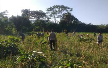 Bhabinkamtibmas Desa Jagaraga Aktif Dorong Ketahanan Pangan Lokal