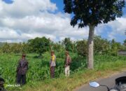 Bhabinkamtibmas Giri Tembesi Dorong Petani Lombok Barat Konsisten Rawat Tanaman
