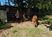 Bhabinkamtibmas Senggigi Dukung Ketahanan Pangan Lokal