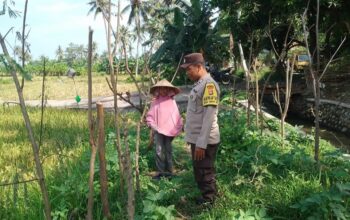 Bhabinkamtibmas Taman Ayu Galakkan Ketahanan Pangan Keluarga