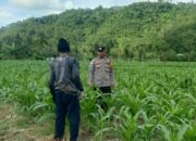 Bhabinkamtibmas Sekotong Dorong Pemanfaatan Lahan untuk Ketahanan Pangan