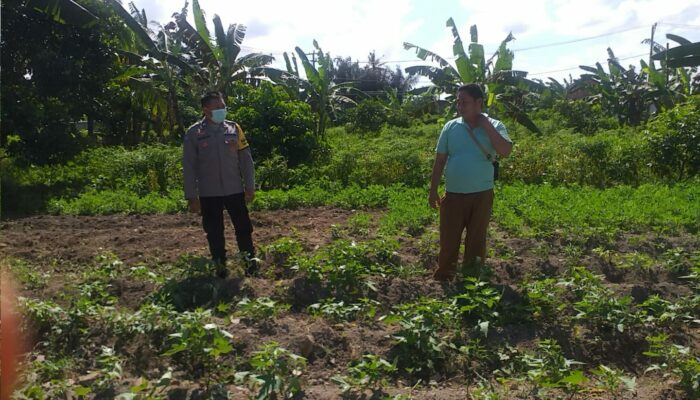 Polri Dorong Ketahanan Pangan Lewat Pendampingan Petani di Lombok Barat