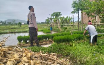 Bhabinkamtibmas Lelede Dukung Ketahanan Pangan di Lombok Barat
