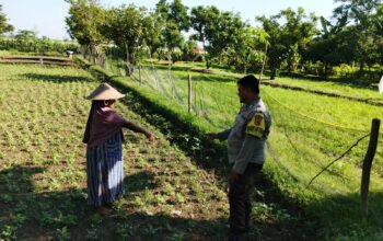 Bhabinkamtibmas Desa Jembatan Gantung Dorong Ketahanan Pangan Warga