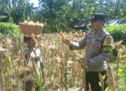Bangun Pagi: Rahasia Sukses dan Bahagia Terungkap?