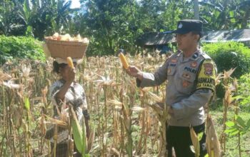 Bangun Pagi: Rahasia Sukses dan Bahagia Terungkap?