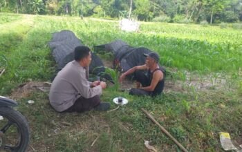 Polres Lombok Barat Dukung Petani Wujudkan Ketahanan Pangan di Lembar