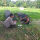 Polres Lombok Barat Dukung Petani Wujudkan Ketahanan Pangan di Lembar