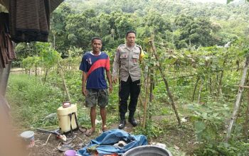 Bhabinkamtibmas Babussalam Dorong Warga Tanam Sayur untuk Ketahanan Pangan
