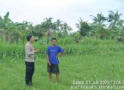Bhabinkamtibmas Cendi Manik Dorong Ketahanan Pangan Lewat Kunjungan ke Petani