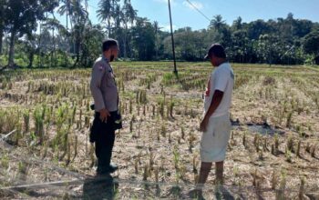 Polri dan Warga Kuripan Bangun Ketahanan Pangan dari Rumah
