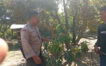 Ketahanan Pangan Desa Merembu Didorong Lewat Jalan Usaha Tani Baru