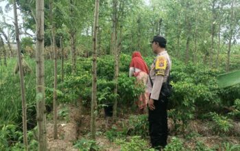 Ketahanan Pangan Dimulai dari Desa, Bhabinkamtibmas Dampingi Petani Cabai di Kediri Lombok Barat
