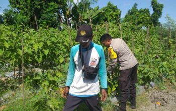 Polsek Kuripan Dorong Ketahanan Pangan di Desa Jagaraga