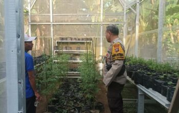 Polsek Batulayar Dorong Ketahanan Pangan Warga Desa Sandik