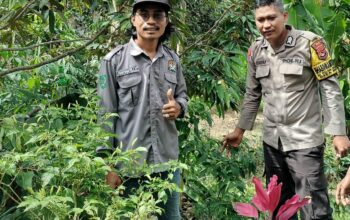 Edukasi Warga Manfaatkan Lahan Pekarangan, Bhabinkamtibmas Polsek Donggo Sukseskan Program Ketahanan Pangan Nasional