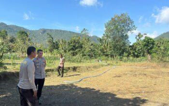 Dukung Ketahanan Pangan, Wakapolres Bima Cek Persiapan Lahan/ Lokasi Penanaman Jagung Kuartal 3