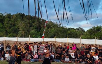 Meriah dan Aman, Festival Peresean Mareje Timur Angkat Budaya Lokal