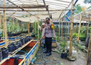 Bhabinkamtibmas Ajak Warga Dusun Tempit Tanam Sayur di Pekarangan Rumah