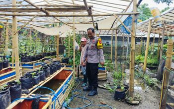 Bhabinkamtibmas Ajak Warga Dusun Tempit Tanam Sayur di Pekarangan Rumah