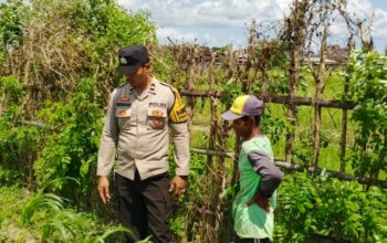 Bhabinkamtibmas Desa Labuapi Bantu Pasar Murah, Jaga Stabilitas Harga Pangan