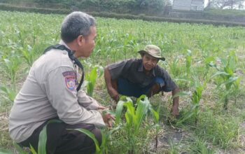 Dorong Ketahanan Pangan, Bhabinkamtibmas Desa Sandik Ajak Warga Manfaatkan Pekarangan