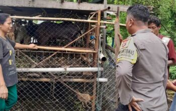 Bhabinkamtibmas Senggigi Dorong Warga Krandangan Manfaatkan Lahan Kosong untuk Ketahanan Pangan