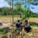 Bhabinkamtibmas Eyat Mayang Dukung Petani Jagung, Perkuat Ketahanan Pangan di Lembar