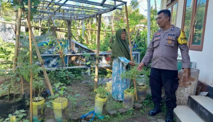 Bhabinkamtibmas Desa Senggigi Edukasi Warga soal Pertanian Rumah Tangga