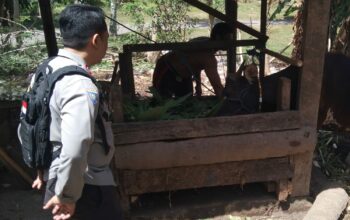 Warga Dusun Melase Antusias Sambut Program Pertanian Pekarangan yang Digagas Polsek Batulayar