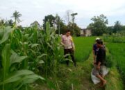 Sinergi Polri dan Warga Dusun Lamper Perkuat Ketahanan Pangan Lokal