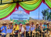 POLRES DOMPU DUKUNG PROGRAM SWASEMBADA PANGAN MELALUI PANEN RAYA JAGUNG SERENTAK KUARTAL III