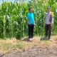 Tak Hanya Mengamankan, Bhabinkamtibmas Desa lasi Polsek Kilo Polres Dompu Turun ke Sawah Temani Petani.